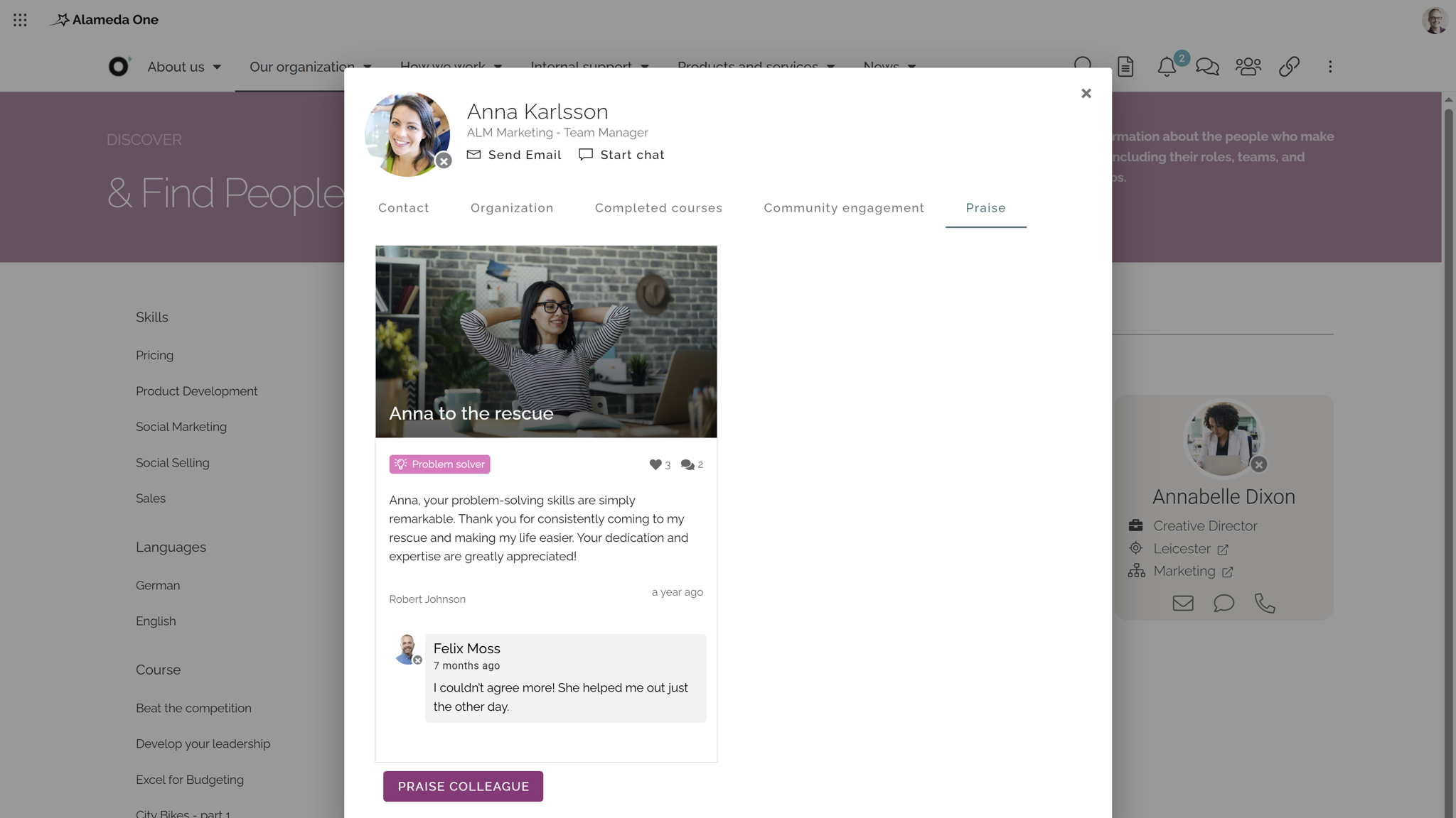 HR Intranet showing a user profile with praise badges HR Intranet showing a user profile with praise badges